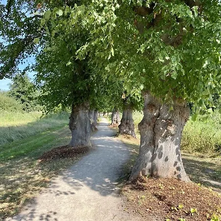 Nyaraló In With Swimming Pool Warin