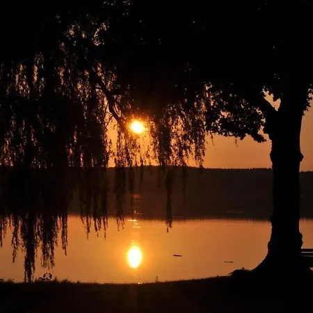 In With Swimming Pool *